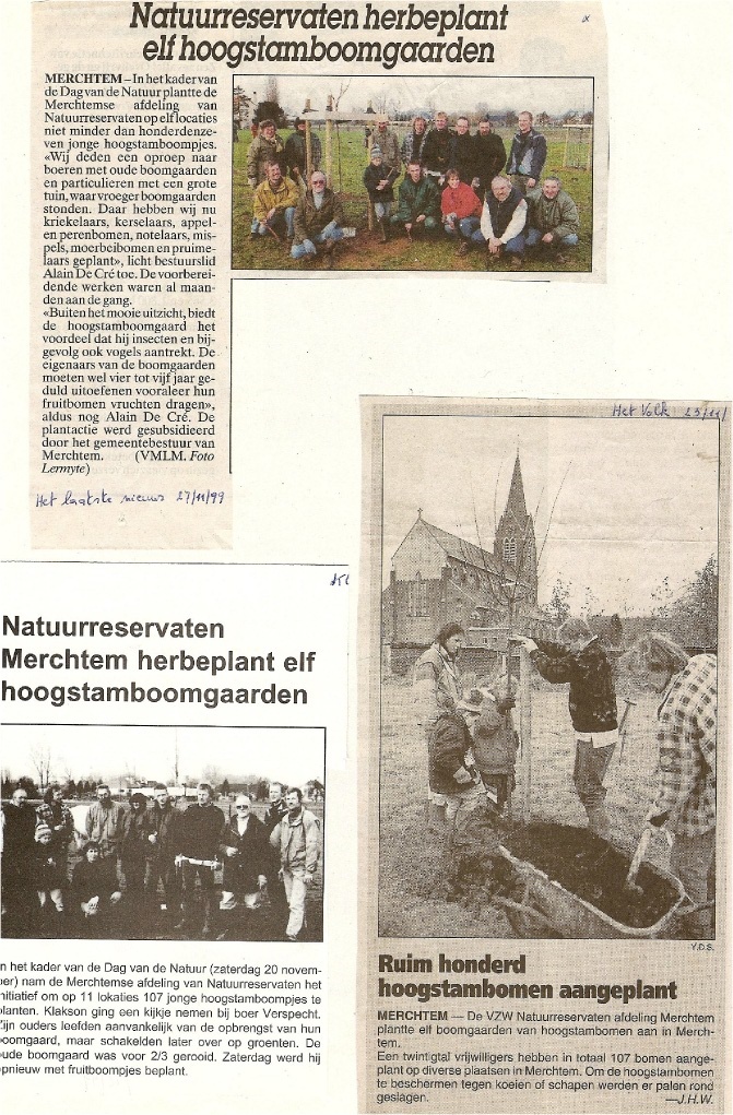 bomen planten