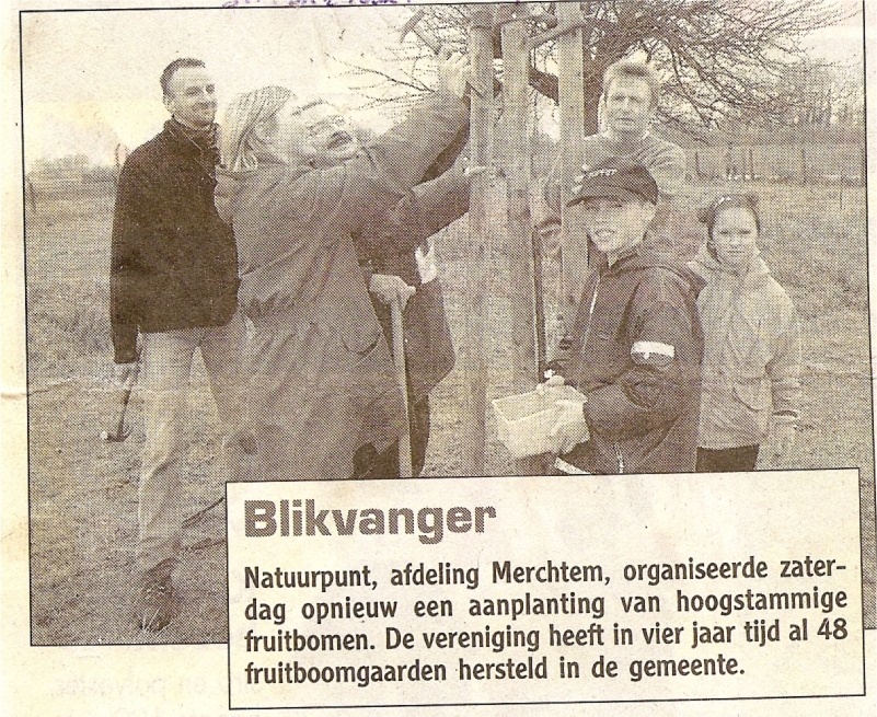bomen planten
