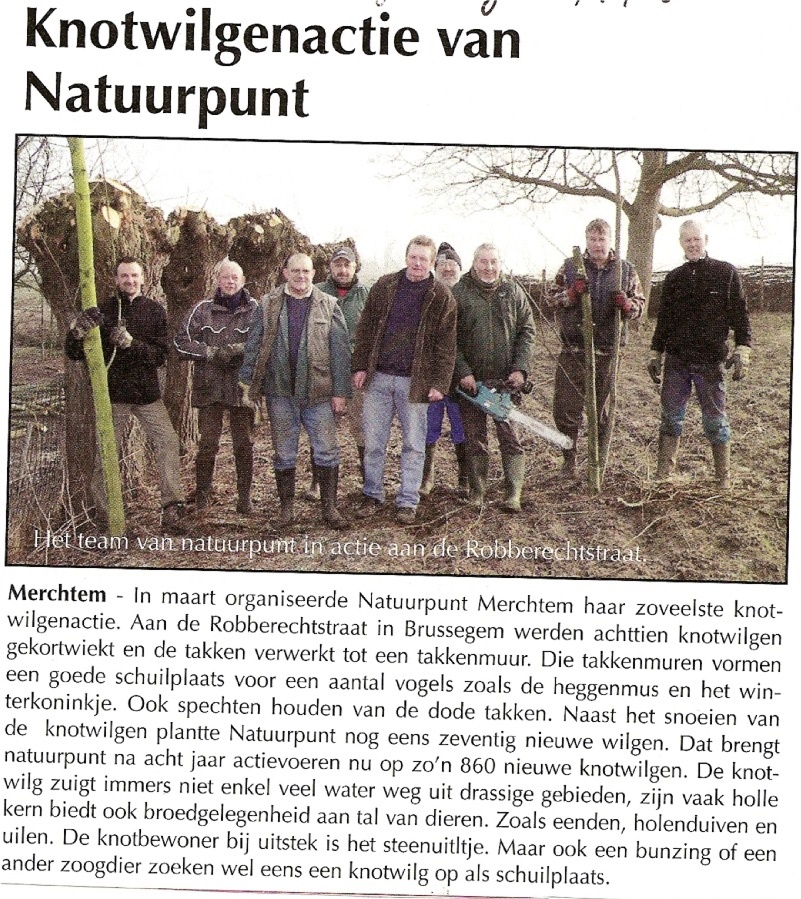 geboorteplek