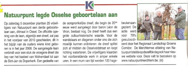 bomen planten
