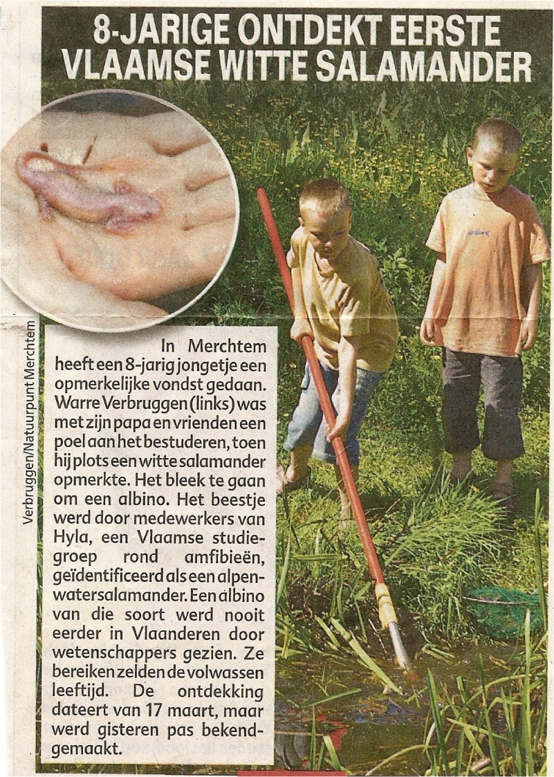 geboorteplek
