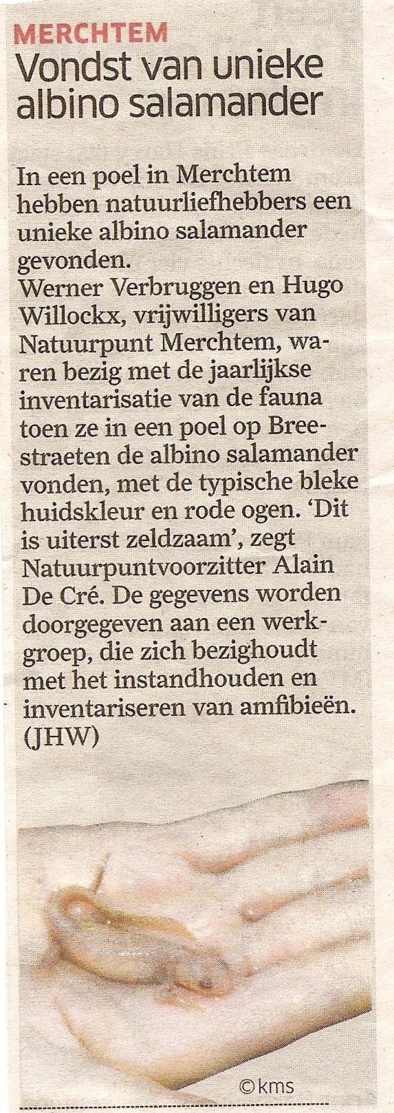geboorteplek