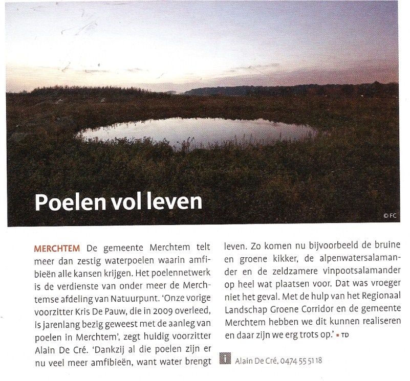 geboorteplek