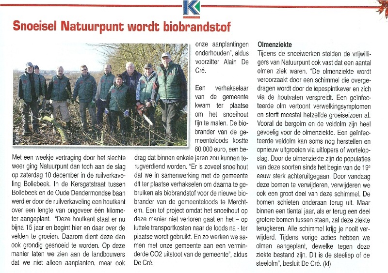 bomen planten