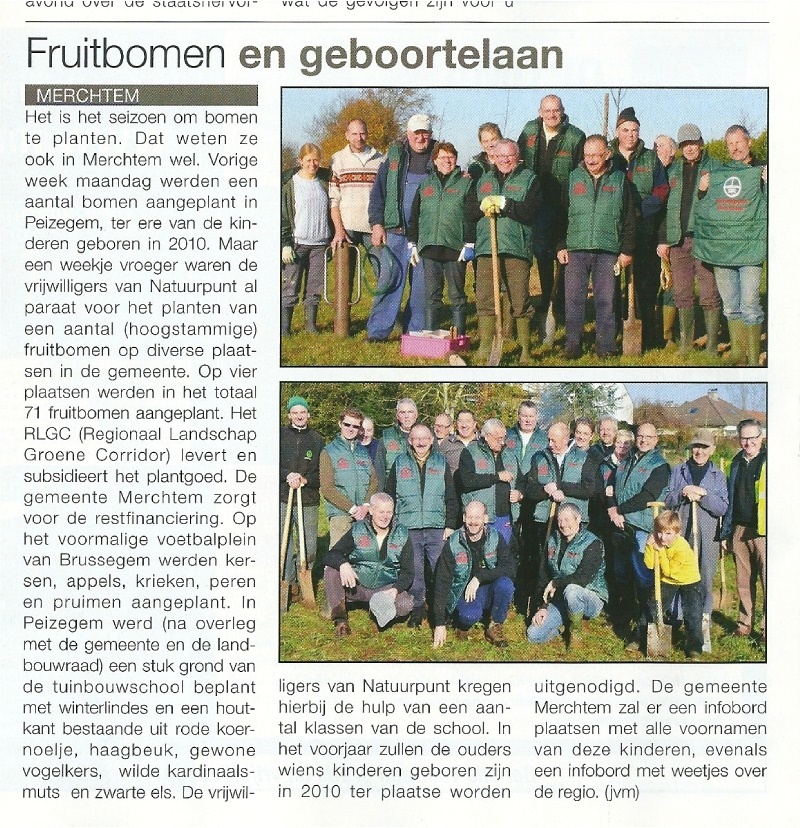 bomen planten