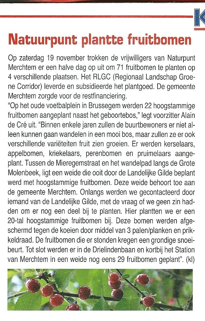 bomen planten