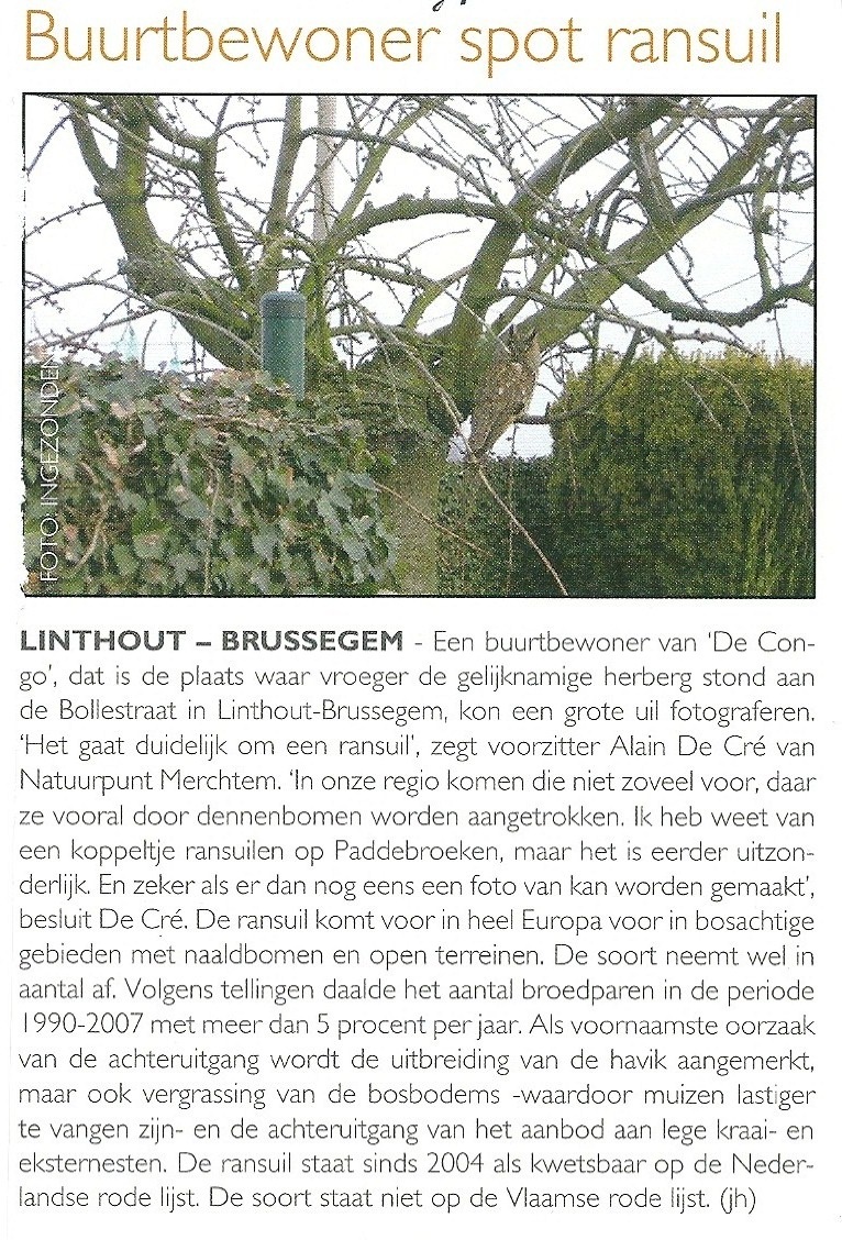 geboorteplek