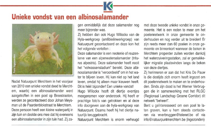 geboorteplek