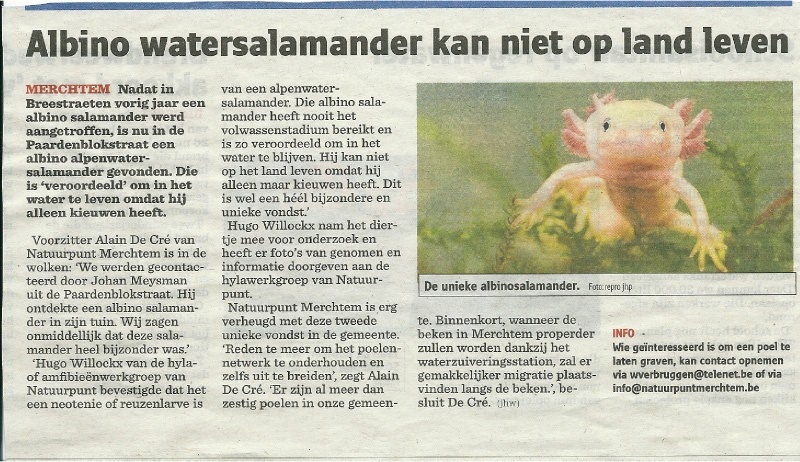 geboorteplek