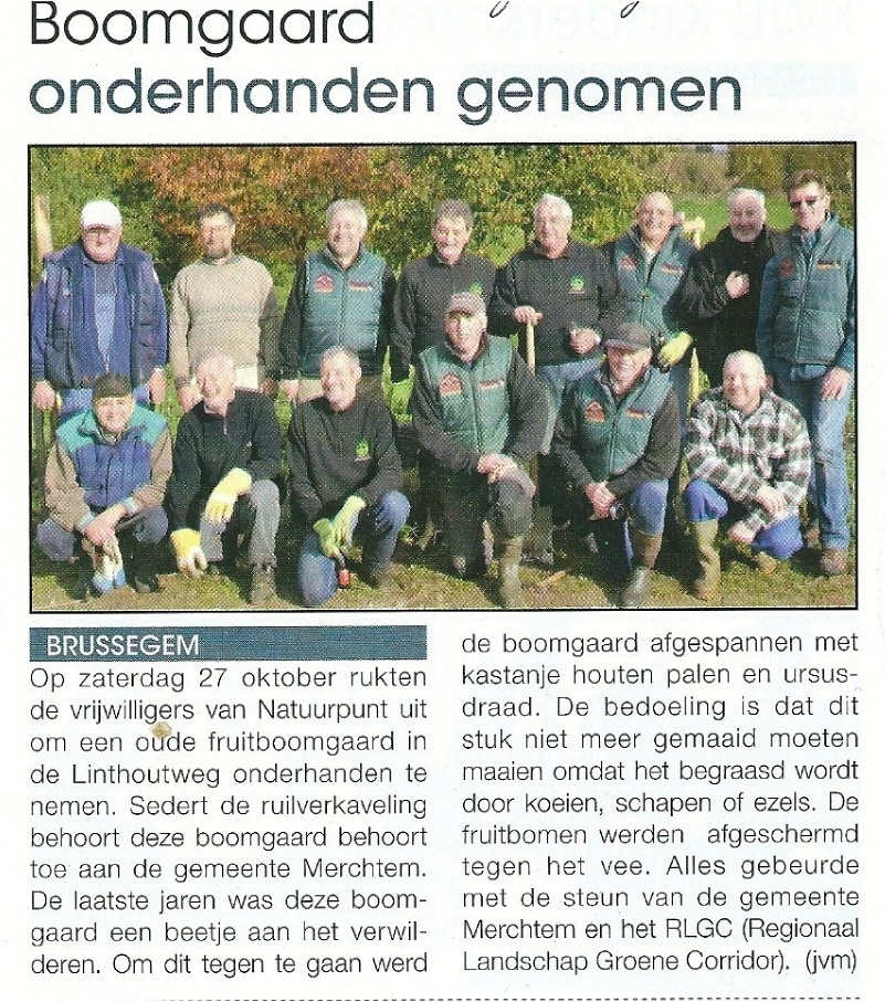 bomen planten