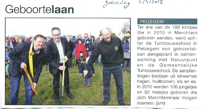 bomen planten