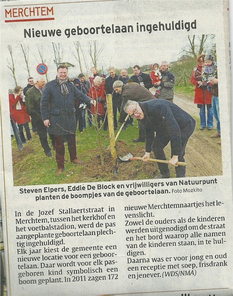bomen planten