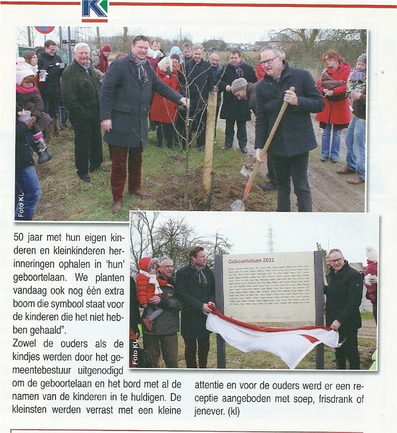 bomen planten