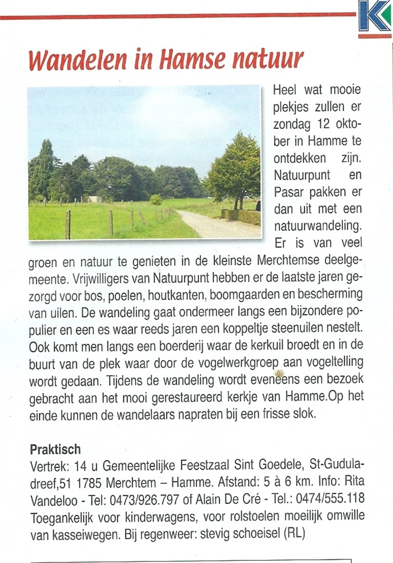 bomen planten