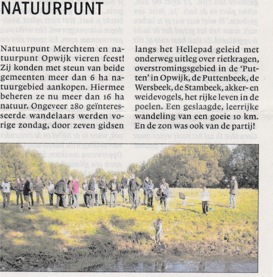 bomen planten